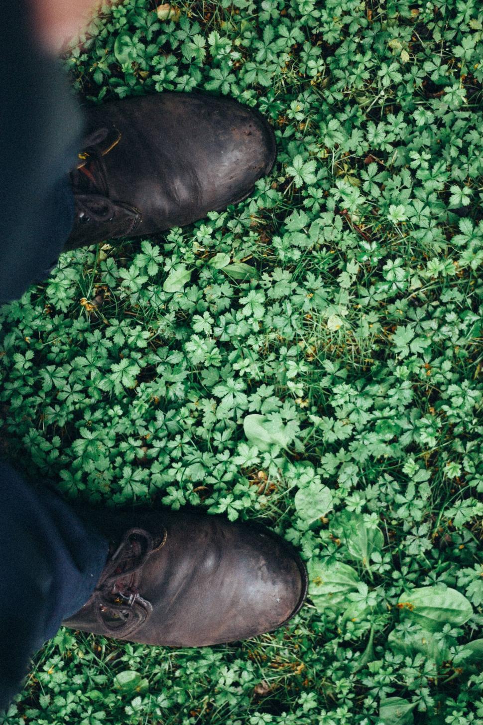 Free Image of Feet on grass  