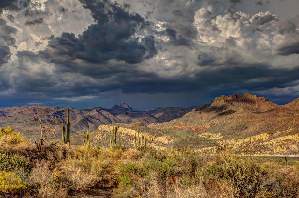 Free Image of Cactus and mountains  