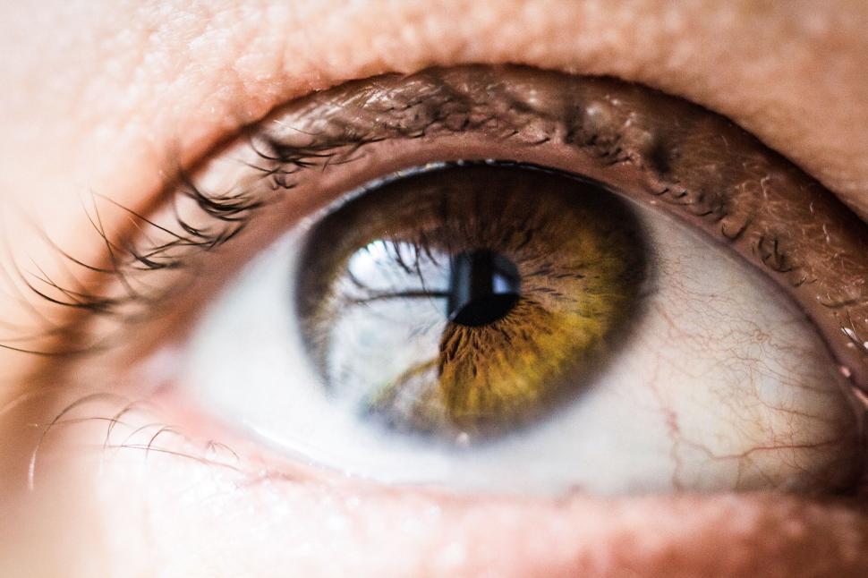 Free Image of Eye - Detailing  