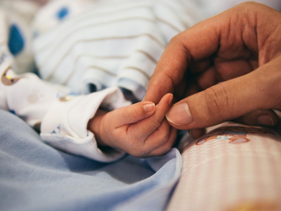 Free Image of Newborn baby hand and adult hand 