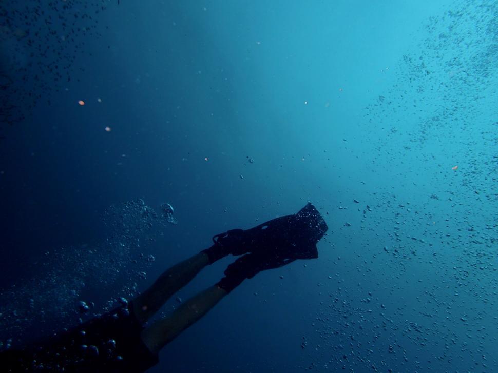 Free Image of Scuba Diver Fins  