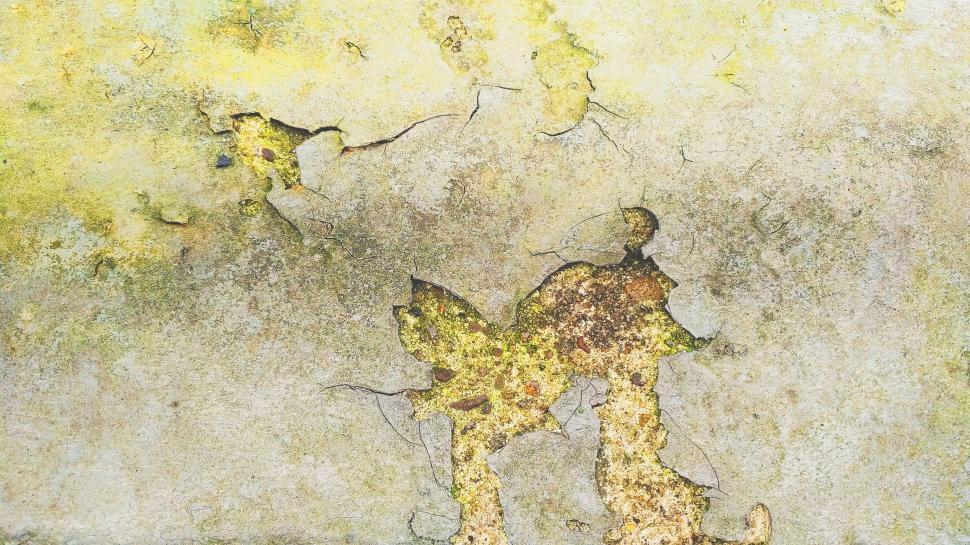 Free Image of Paint Peel off from the wall  