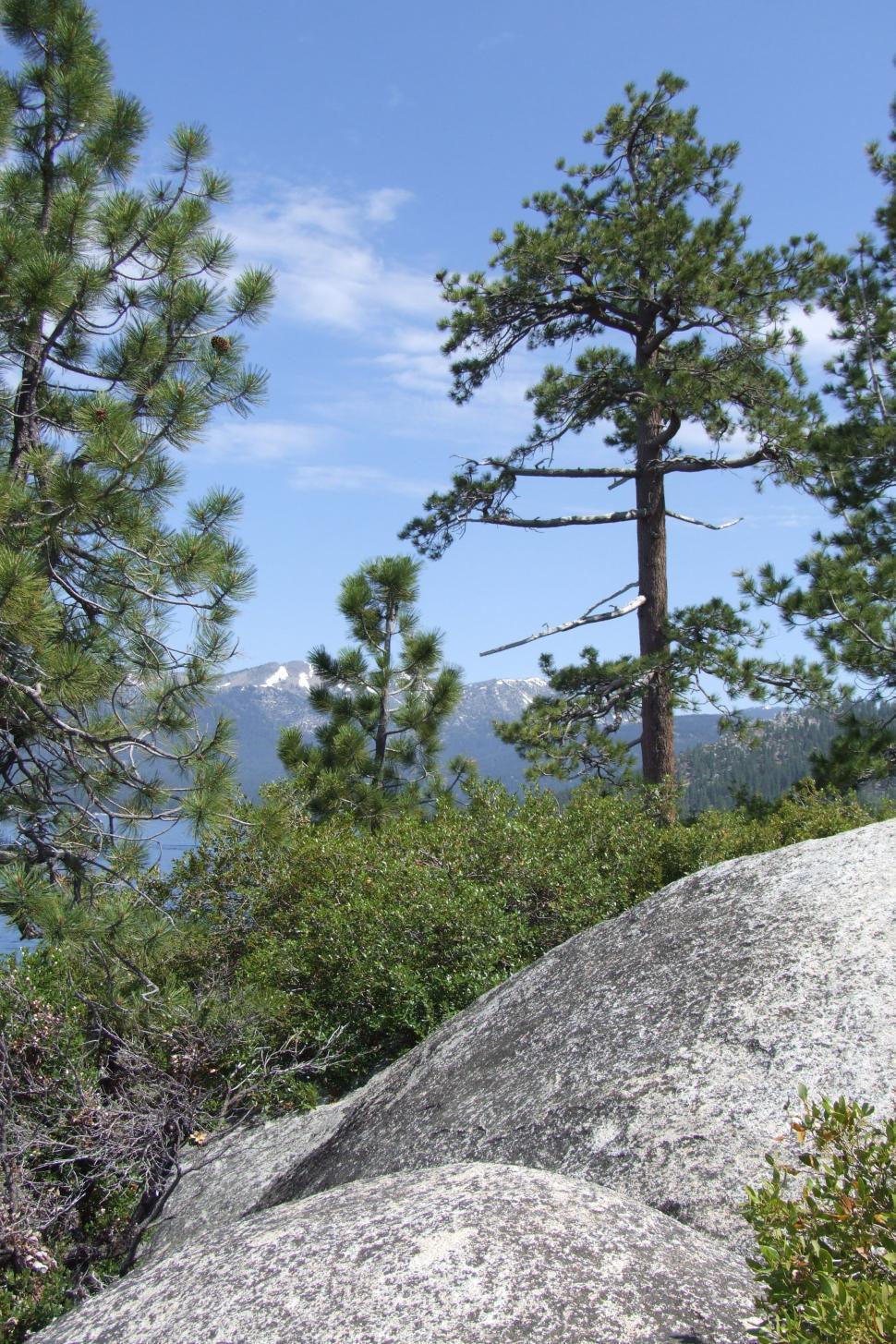 Free Image of California Landscapes 