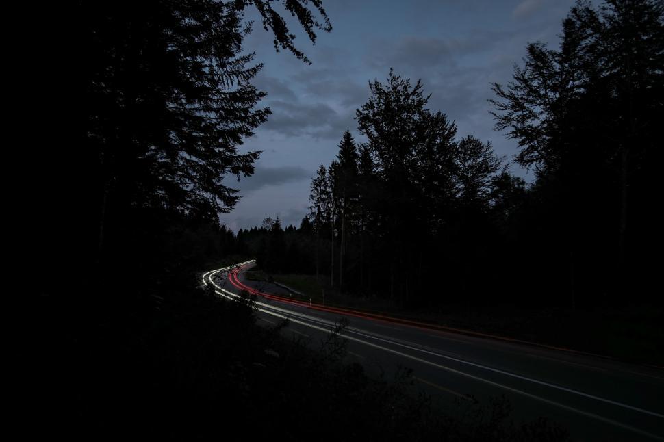 Free Image of Silhouette of trees at night 