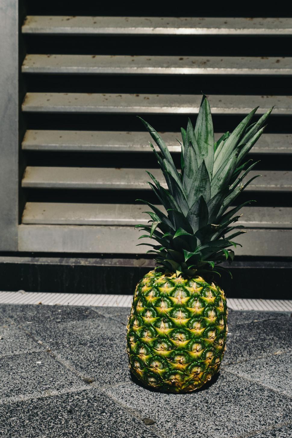 Free Image of Pineapple on the pavement  