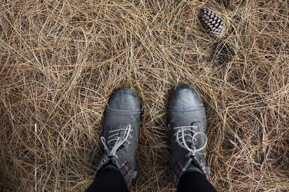 Free Image of Shoes and Conifer Cone 