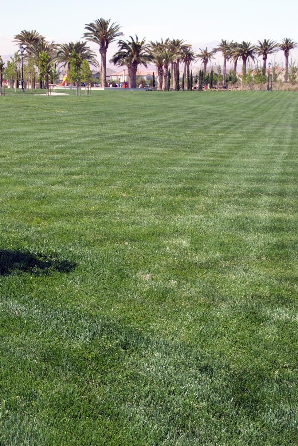 Free Image of Open Space 