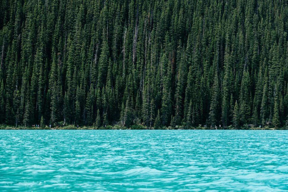 Free Image of Lake and Trees  