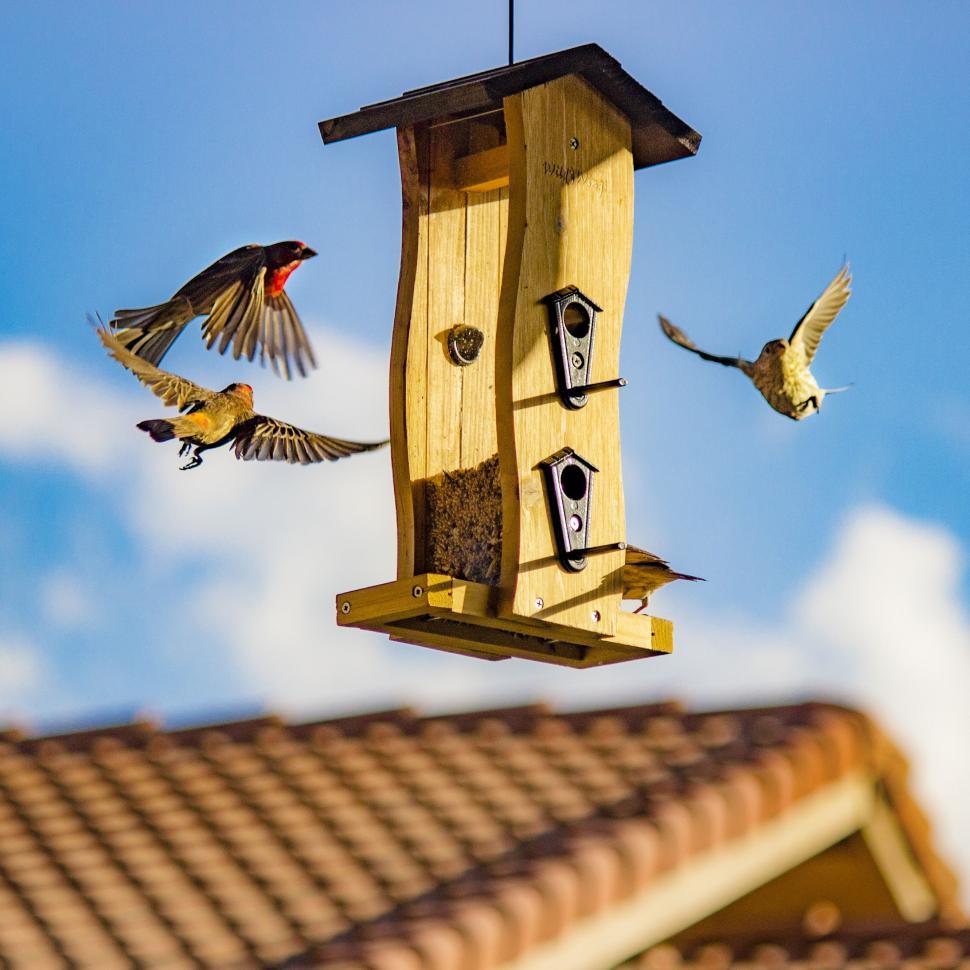 Free Image of Wooden birdhouse 