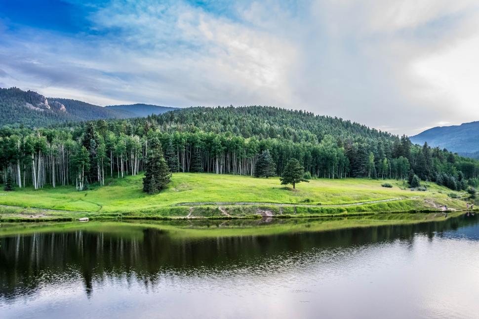 Free Image of River and Trees in San Isabel, Colorado 