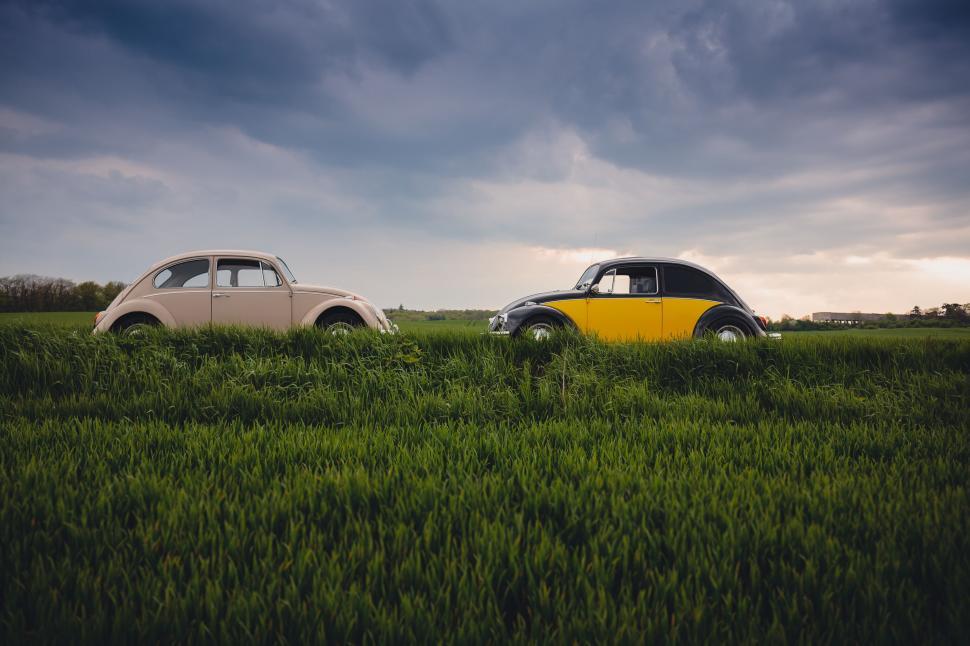 Free Image of Two Beetle Cars  