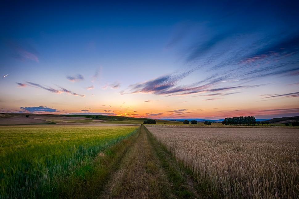 Free Image of Farming field at countryside  