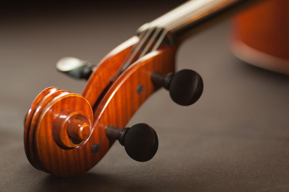 Free Image of Scroll of the violin 