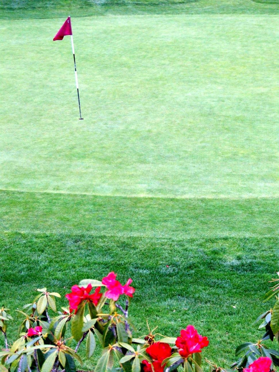 Free Image of Golf 