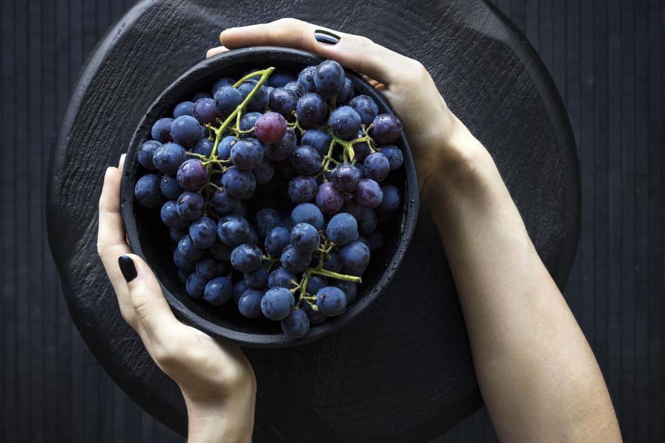 Free Image of Black grapes fruit  