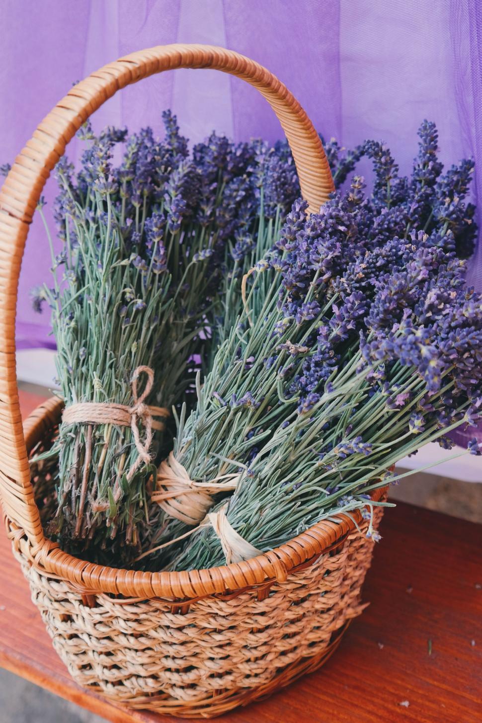 Free Image of Flower Basket  