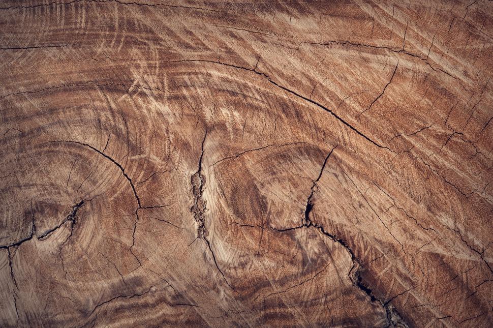 Free Image of Wood Grain 