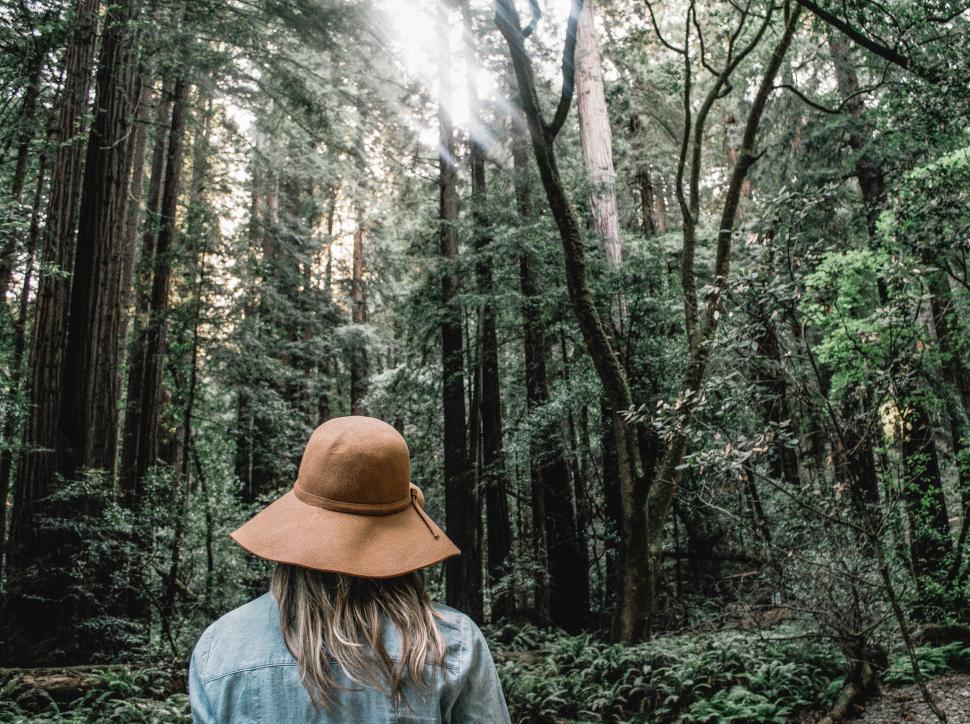 Free Image of Woman in Brown Hat  