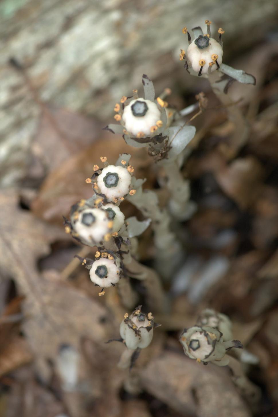 Free Image of All eyes on you 