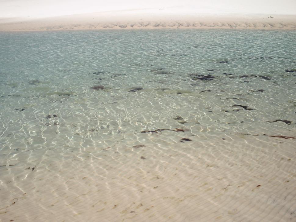 Free Image of Lake 