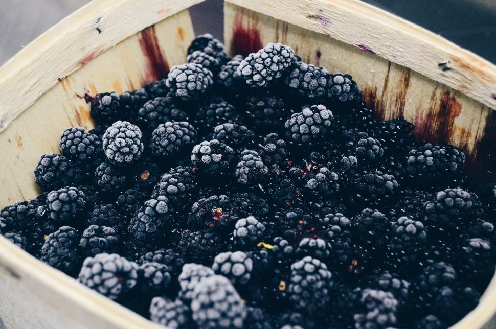 Free Image of Pile of Blackberries  