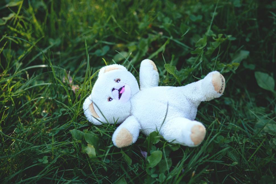 Free Image of White Teddy Bear 