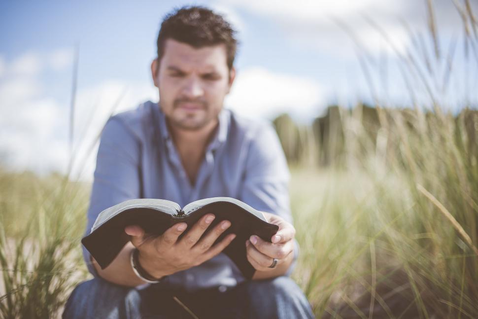 Free Image of Reading in the grass 