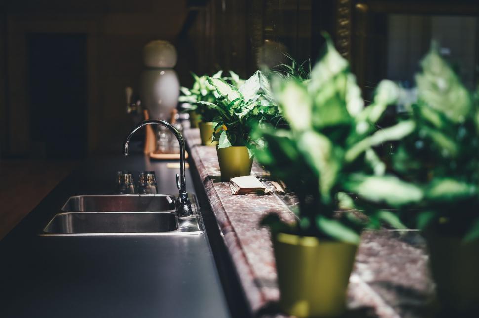 Free Image of Sink and tap 