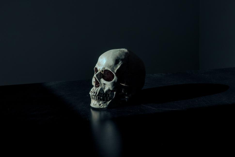 Free Image of Human Skull  