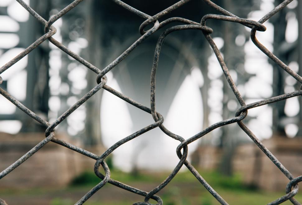 Free Image of Wire Mesh  