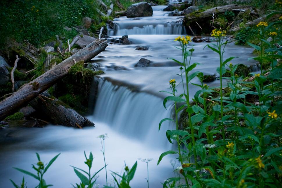 Free Image of Misty Water 