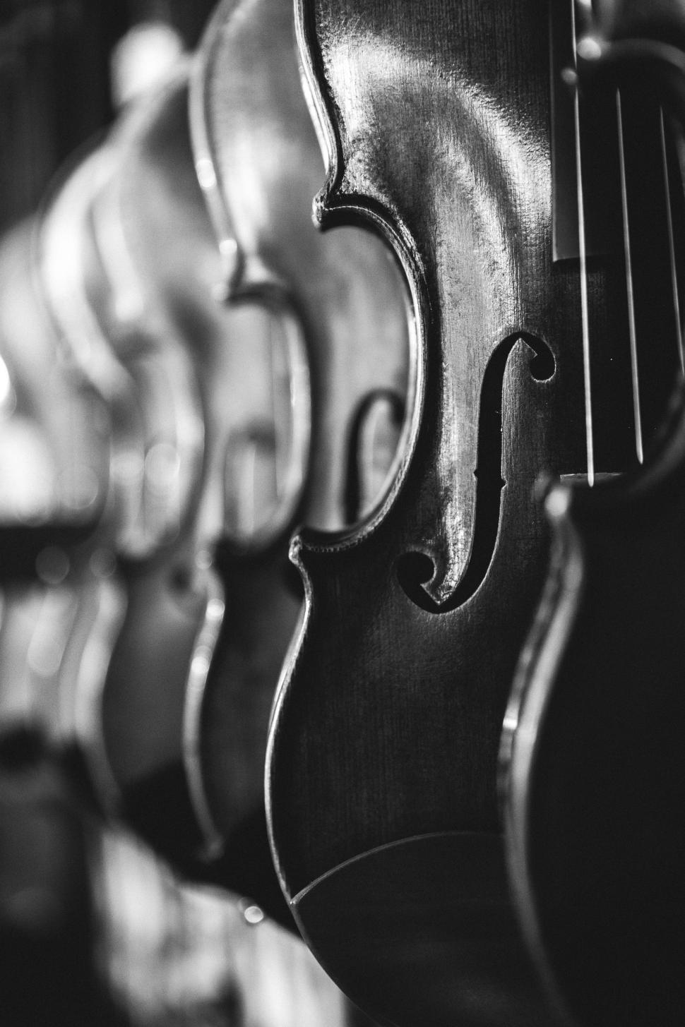 Free Image of Violins - B&W 