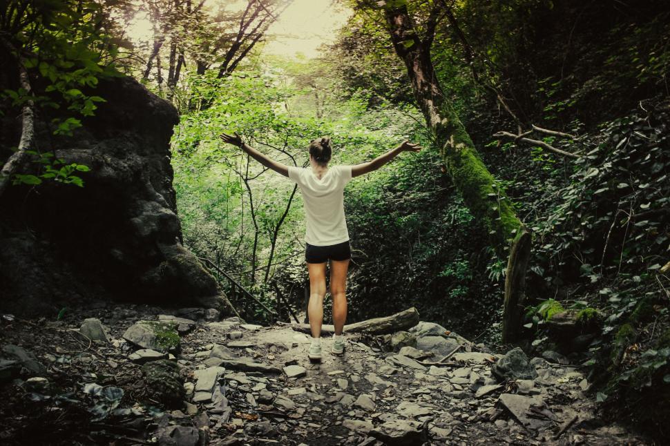 Free Image of Backside view of woman in forest 