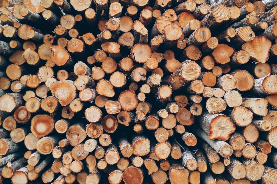 Free Image of Wood Logs - Background  