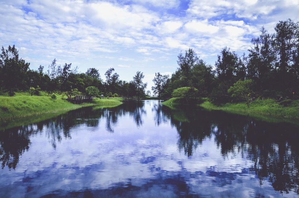 Free Image of Forest Lake and Trees  