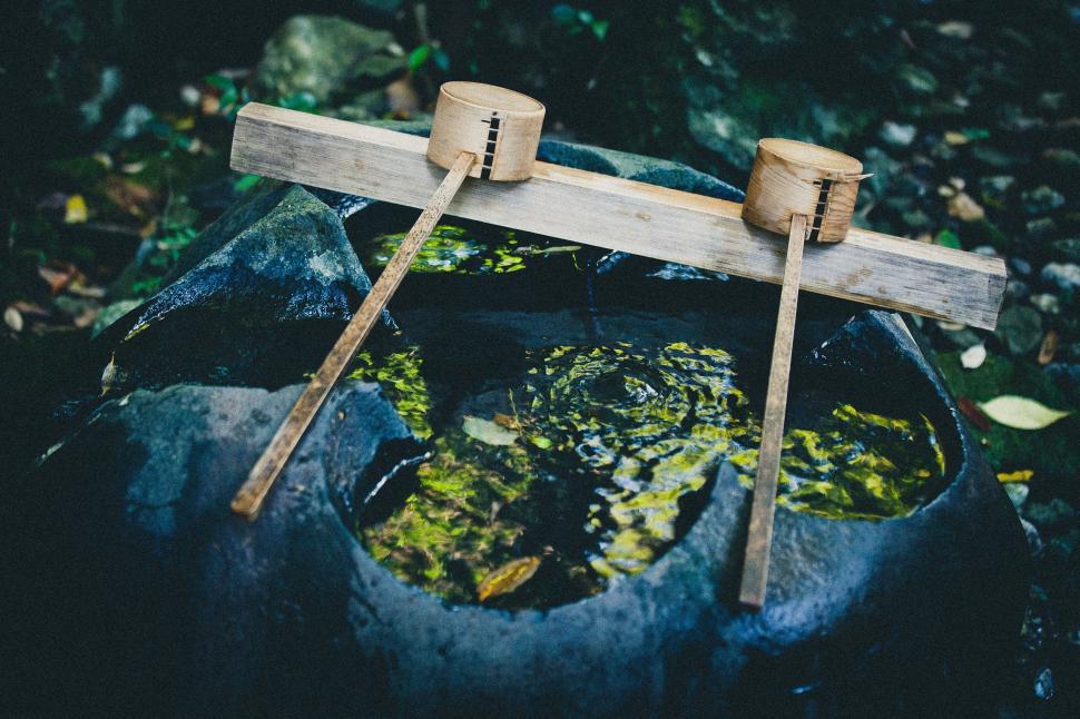 Free Image of Wooden Ladles in forest  