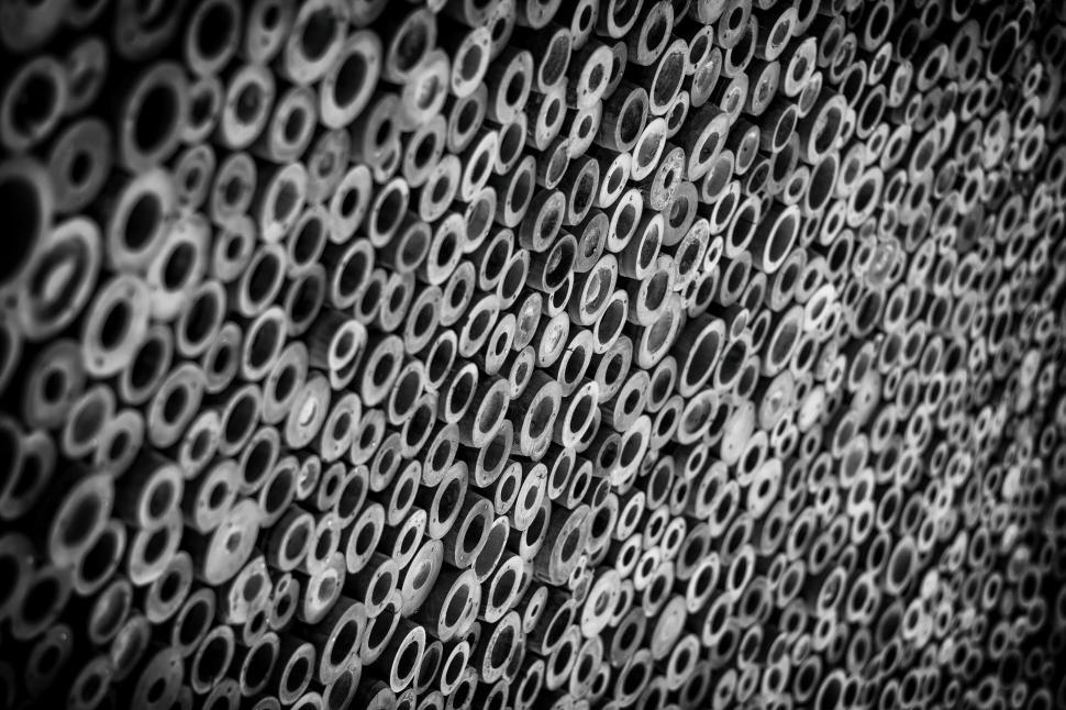 Free Image of Bamboo Holes - B&W 
