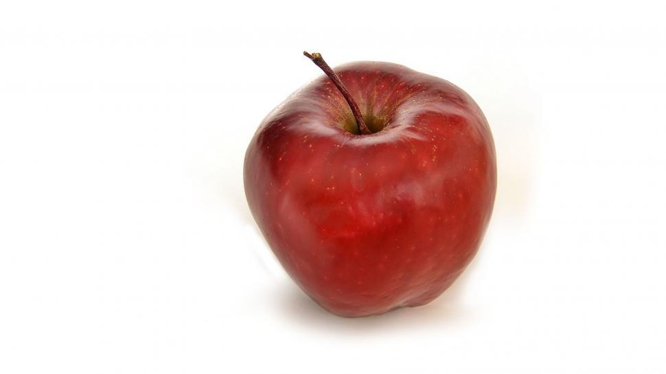 Free Image of Single Apple  