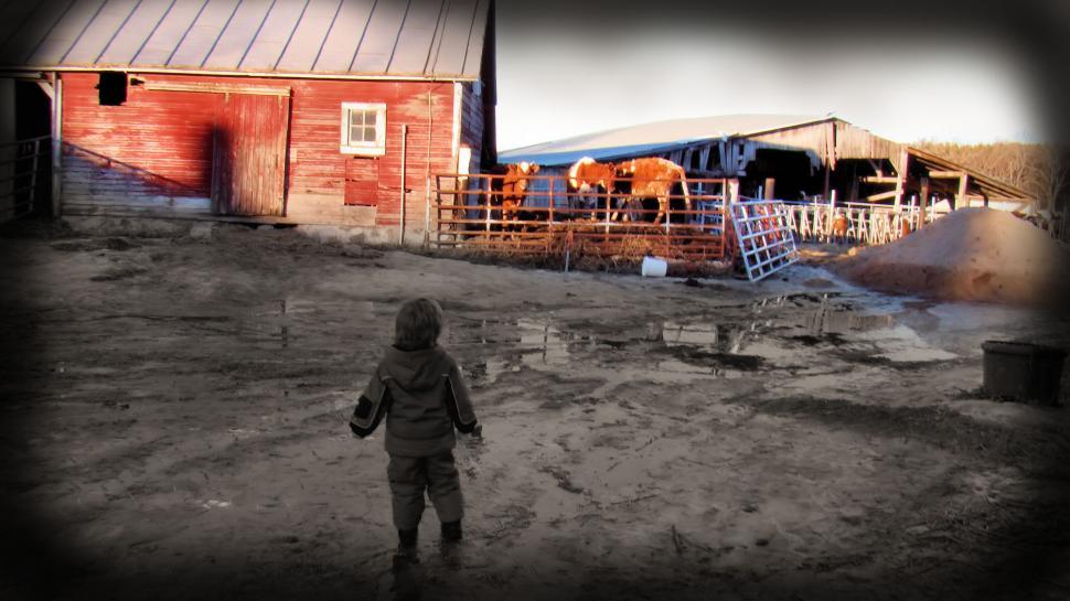 Free Image of A Boy and a Farm 