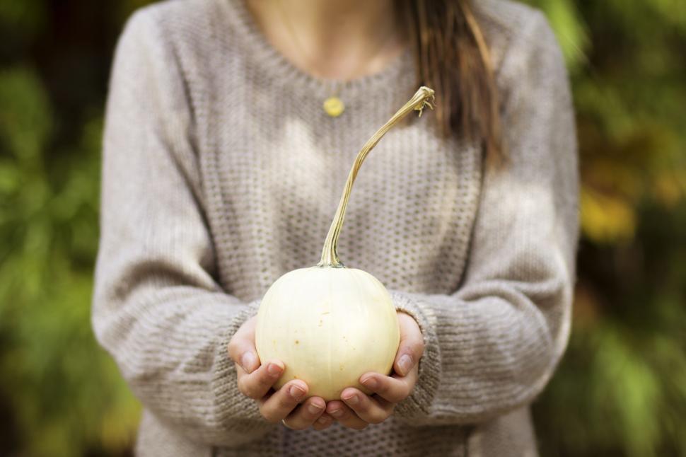 Free Image of Calabash gourd 