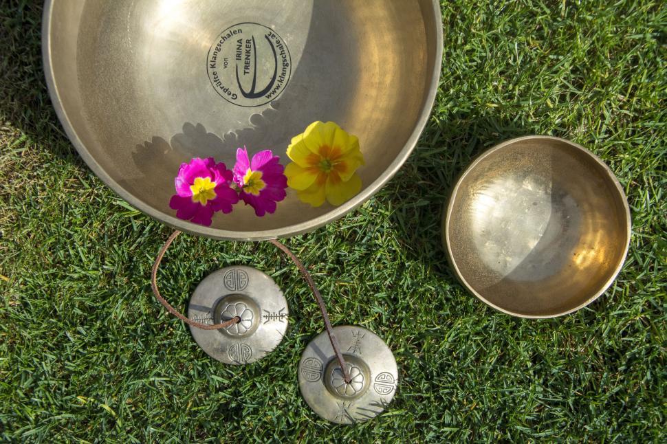 Free Image of Metal Music Bowls  