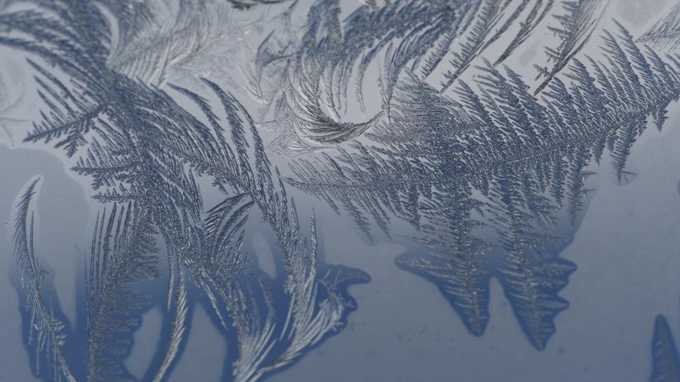 Free Image of Ice crystals 