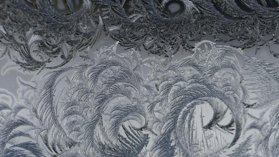 Free Image of Ice crystals in leaf pattern  