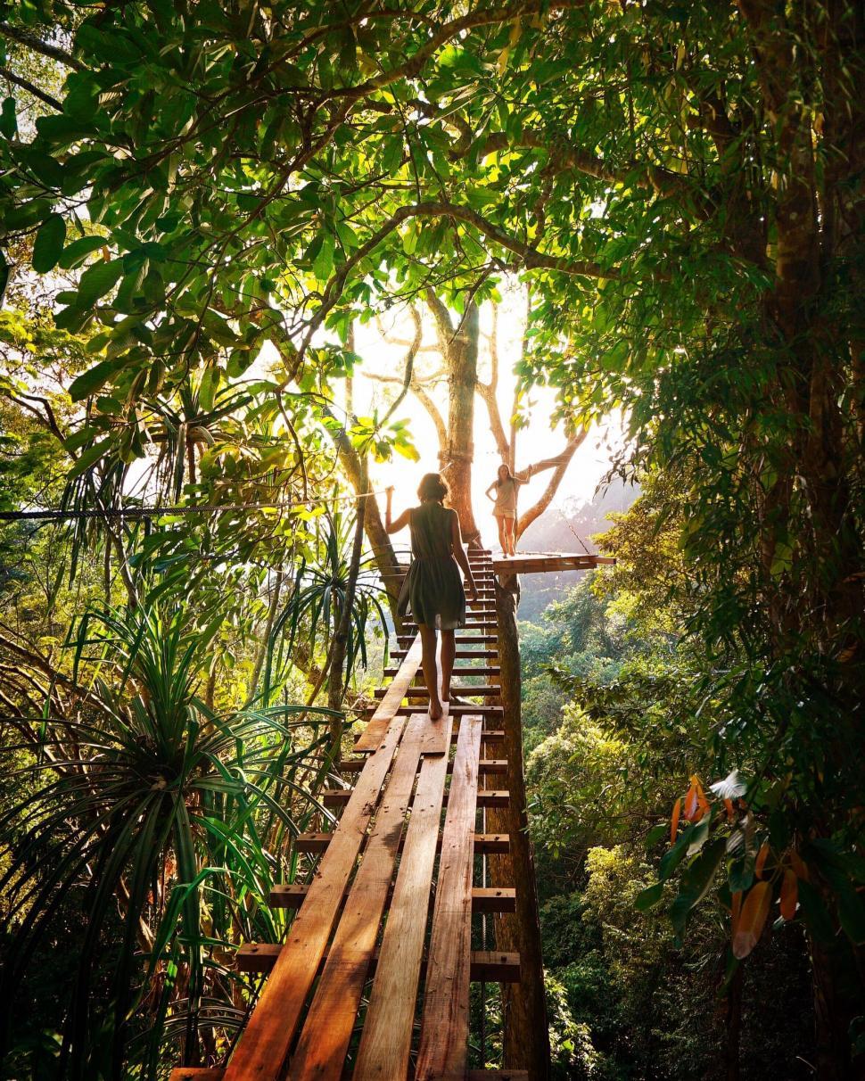 Free Image of Two Women on Forest Bridge  