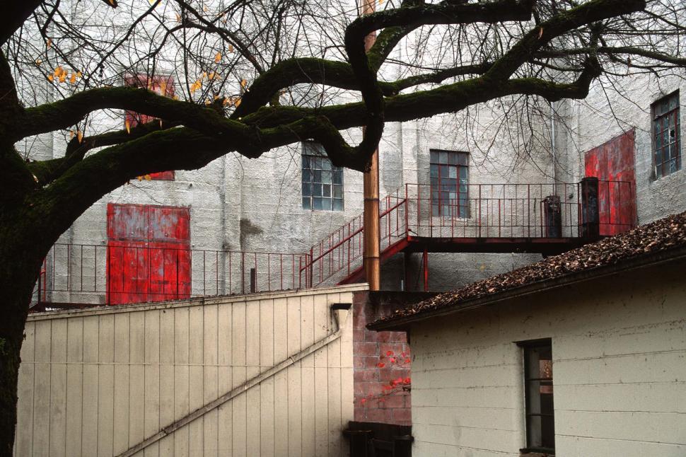 Free Image of Organic and urban forms 