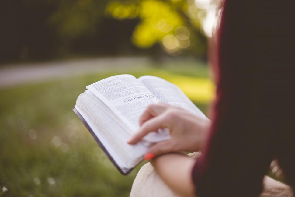 Free Image of Reading in the park  