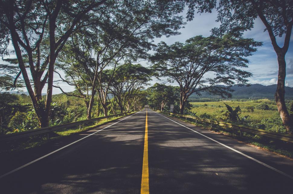 Free Image of Empty Road and Trees With Blue Sky  