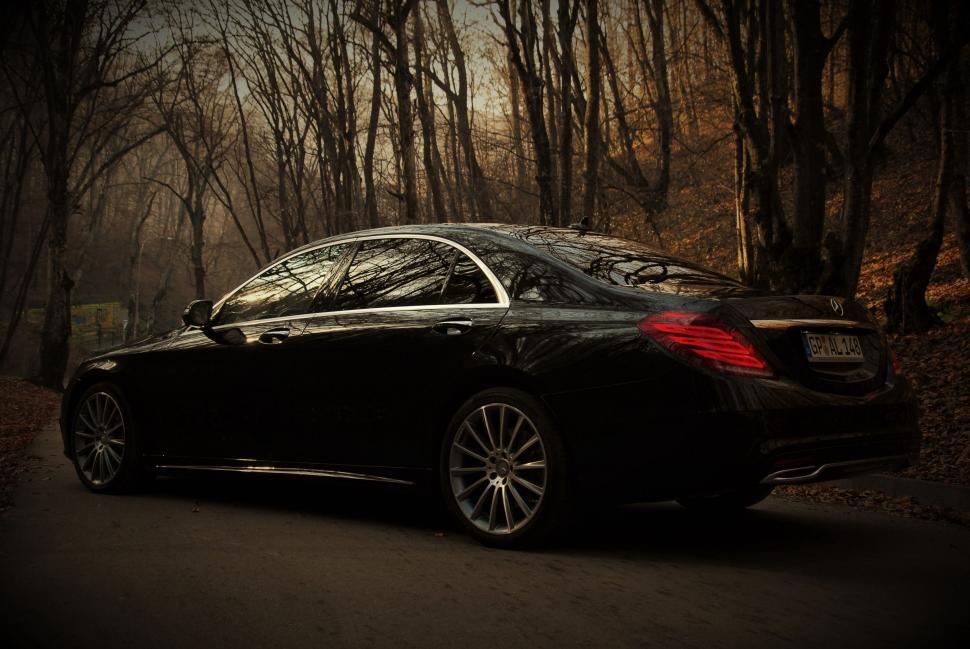 Free Image of Black Mercedes Car in Forest  