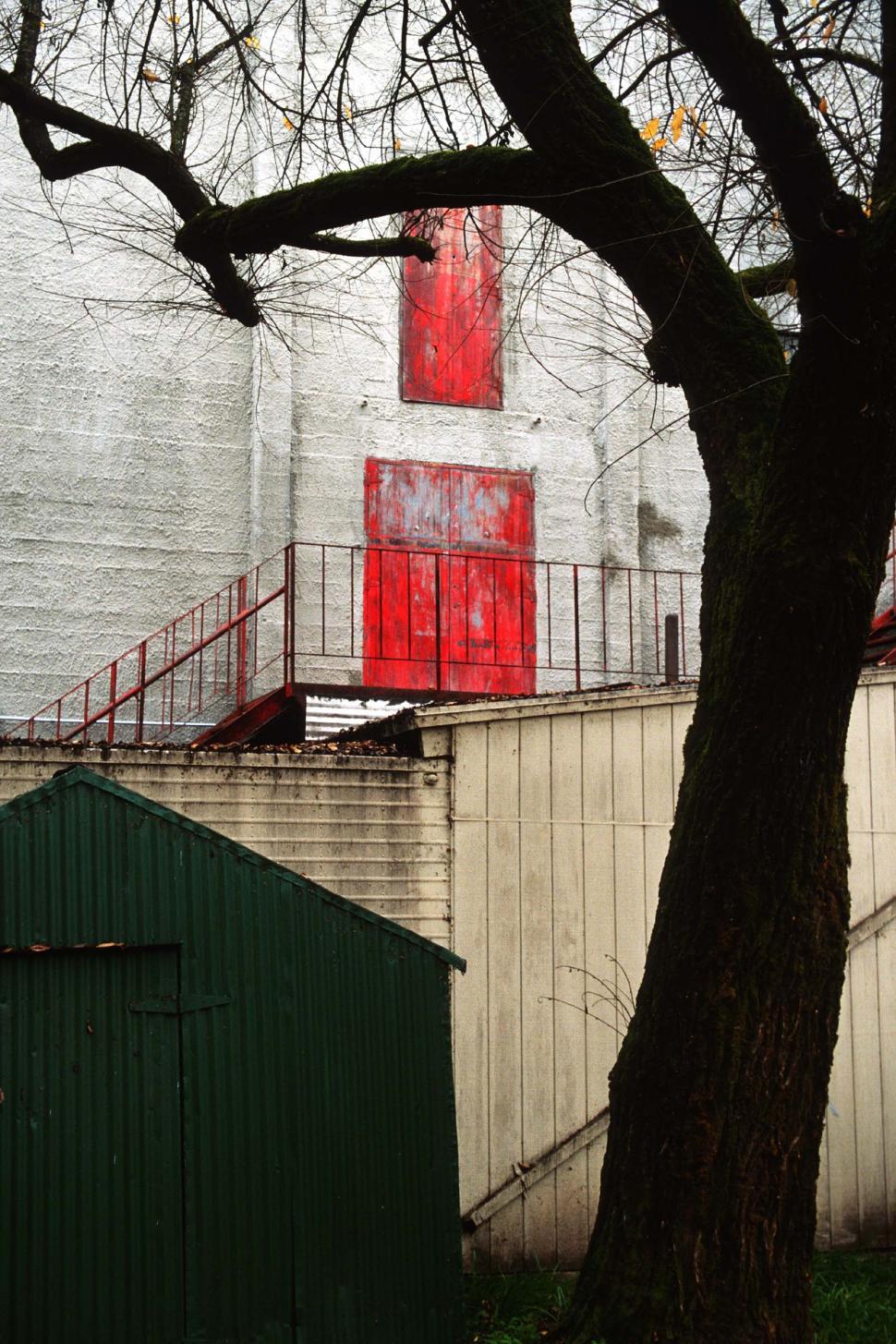 Free Image of Tree silhouette and red door 