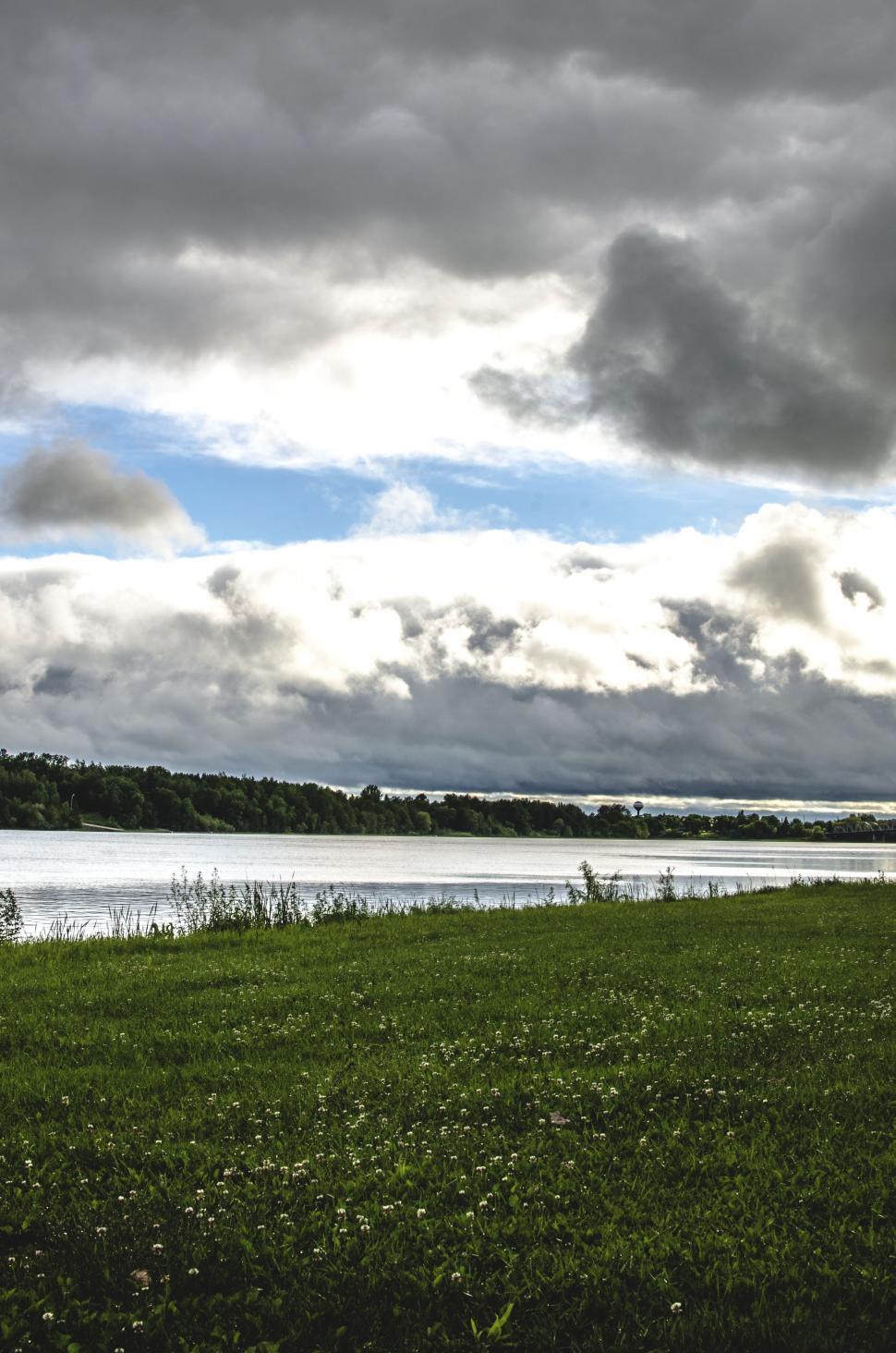 Free Image of Flowers and Lake with White Clouds  